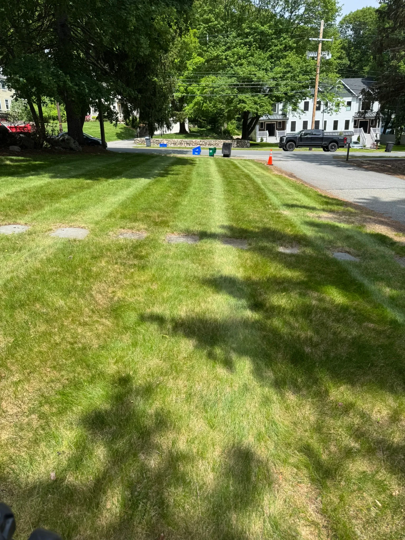 A dappled, freshly mowed lawn beside a driveway on a maintained property