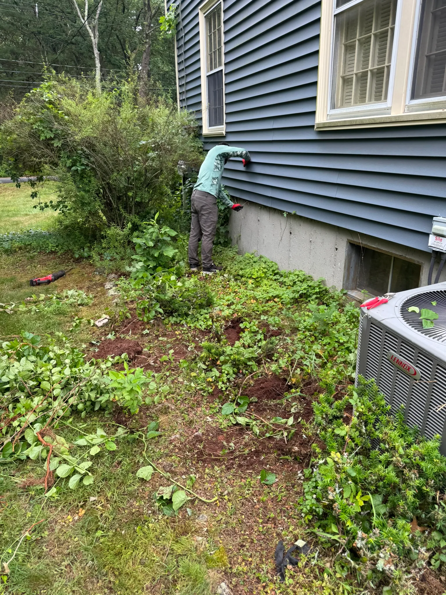Foundation planting beds being installed and mulched along a house