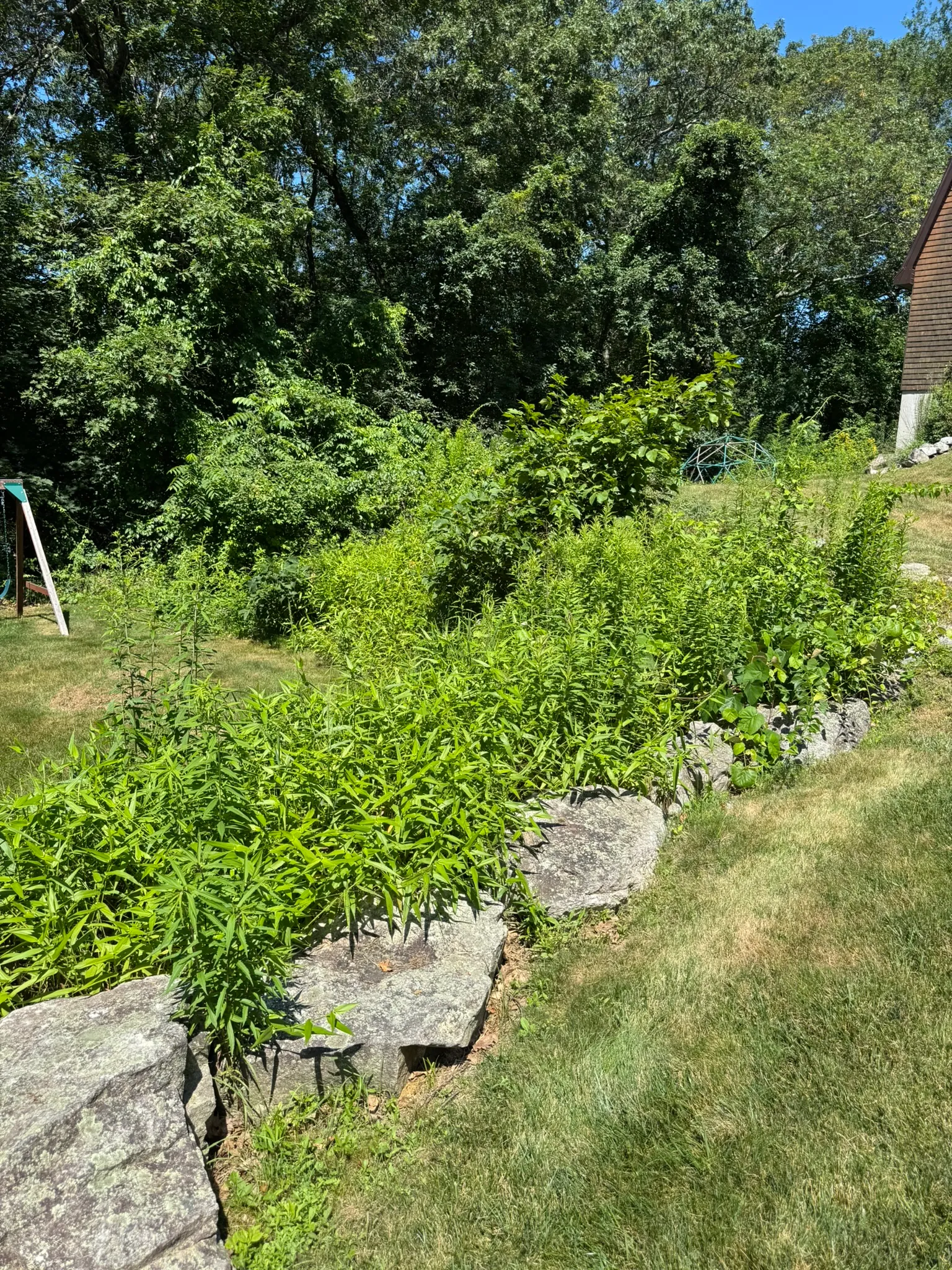 A natural stone retaining wall built into a sloped Lexington-area backyard with fresh plantings