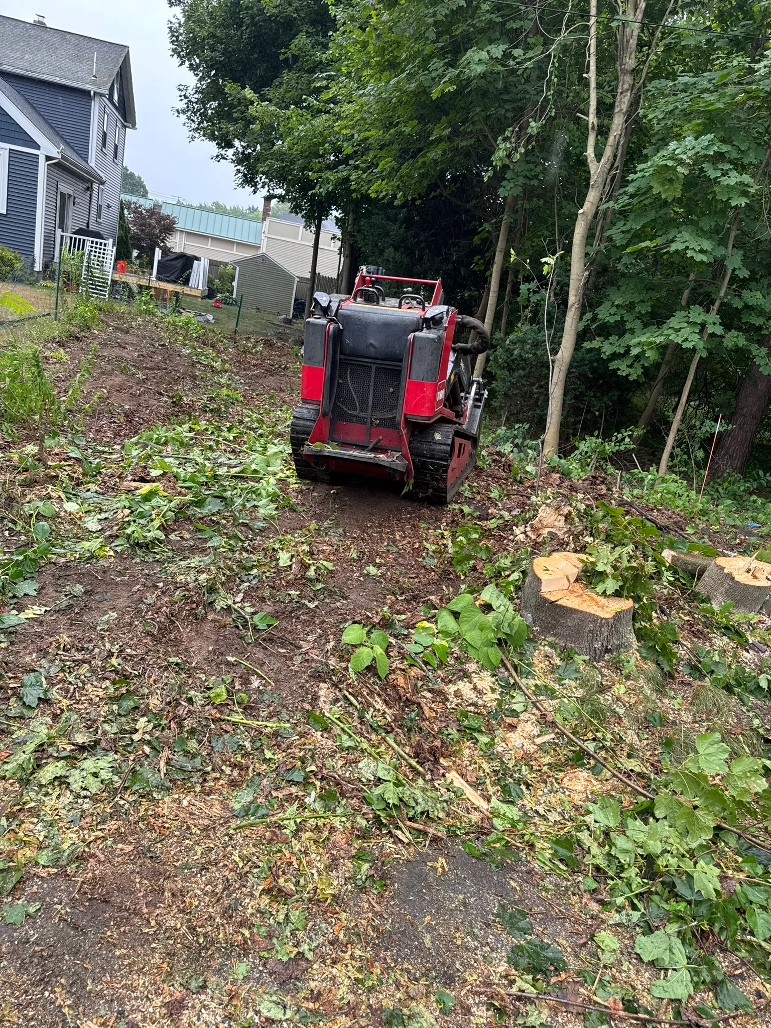 A mini skid steer clearing an overgrown, wooded lot back to open ground