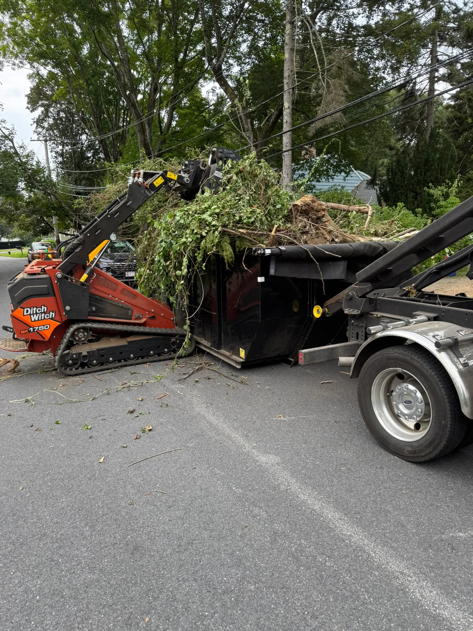 A mini skid steer loading cleared brush into a dump trailer