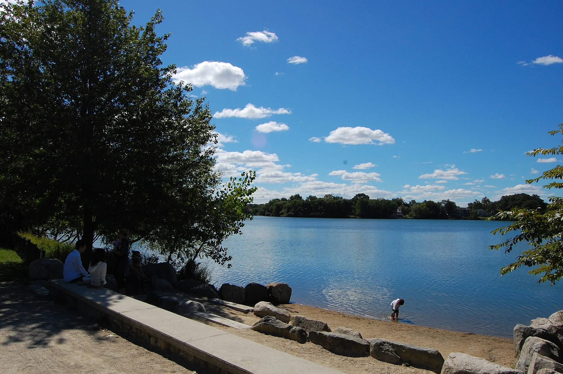 Spy Pond in Arlington, MA on a clear summer day with blue water and a tree-lined shore