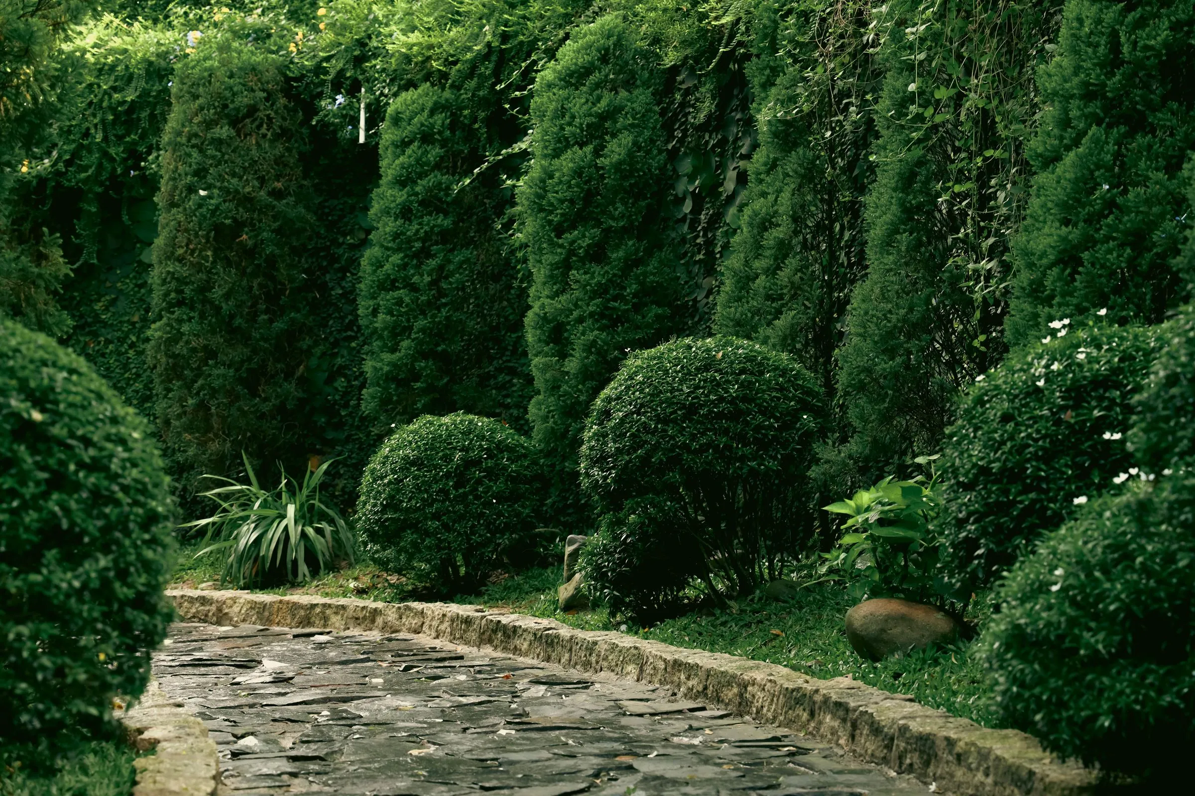 A manicured landscaped garden with a natural stone walkway, sculpted evergreens, and stone edging